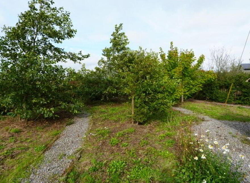 Killaune, Ballymacward, Shanballard, H53F882