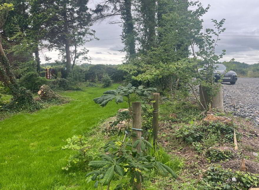 Gardina House, Kilcloony, Ballinasloe, H53D2X9