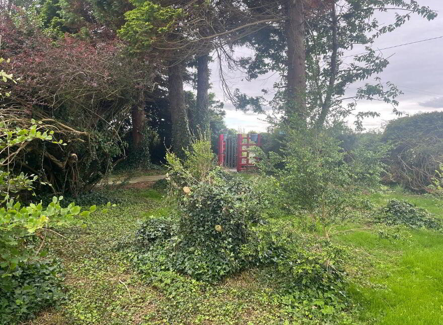 Gardina House, Kilcloony, Ballinasloe, H53D2X9