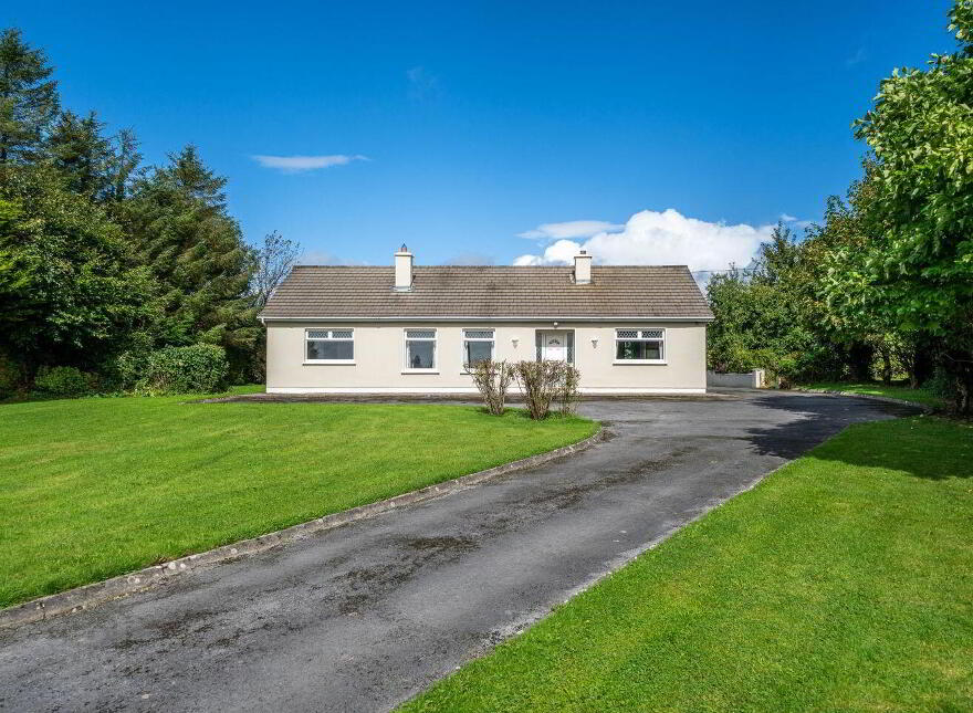 Gortnaraheen, Kiltormer, Ballinasloe, H53A665