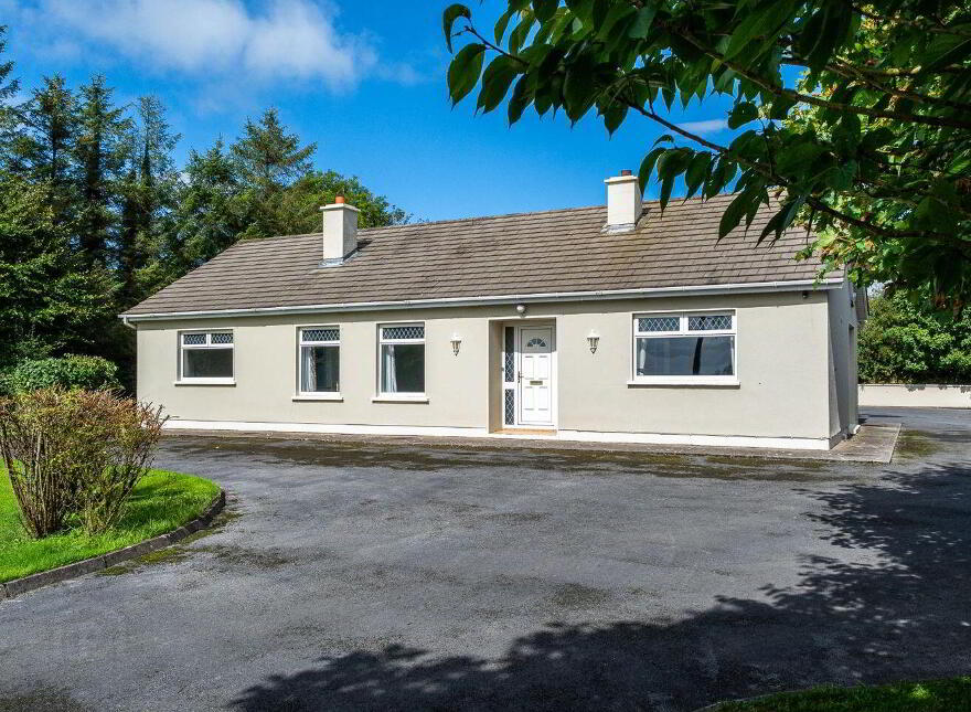 Gortnaraheen, Kiltormer, Ballinasloe, H53A665