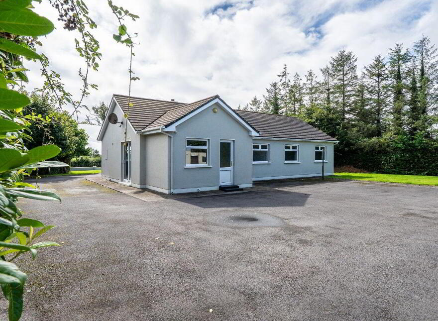 Gortnaraheen, Kiltormer, Ballinasloe, H53A665