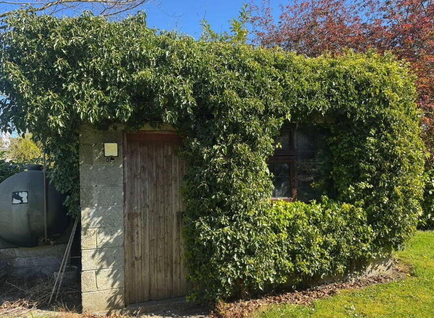Carrig Mór, Glendine, Kilkenny, R95K2N3