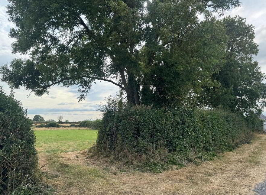 Prime, C. 1 Ac Residential Site, Danesfort