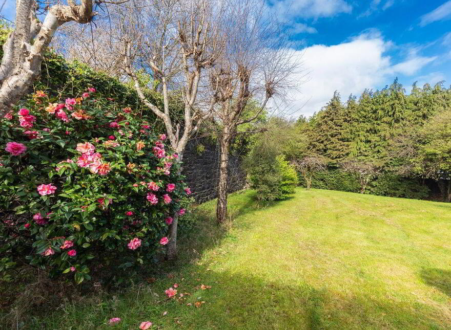 Corabbey, The Park, Midleton, P25CD66