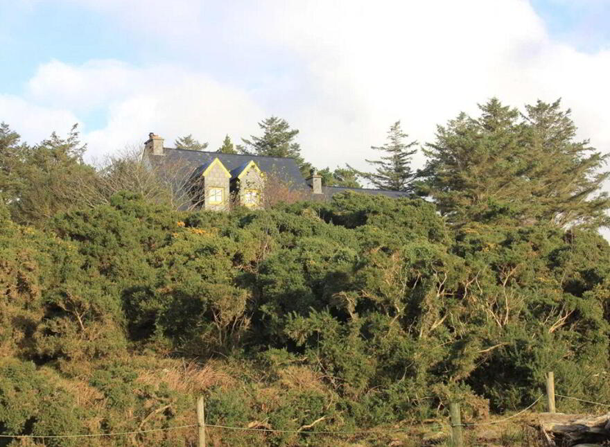Creaghadoo, Dungloe, F91AH34