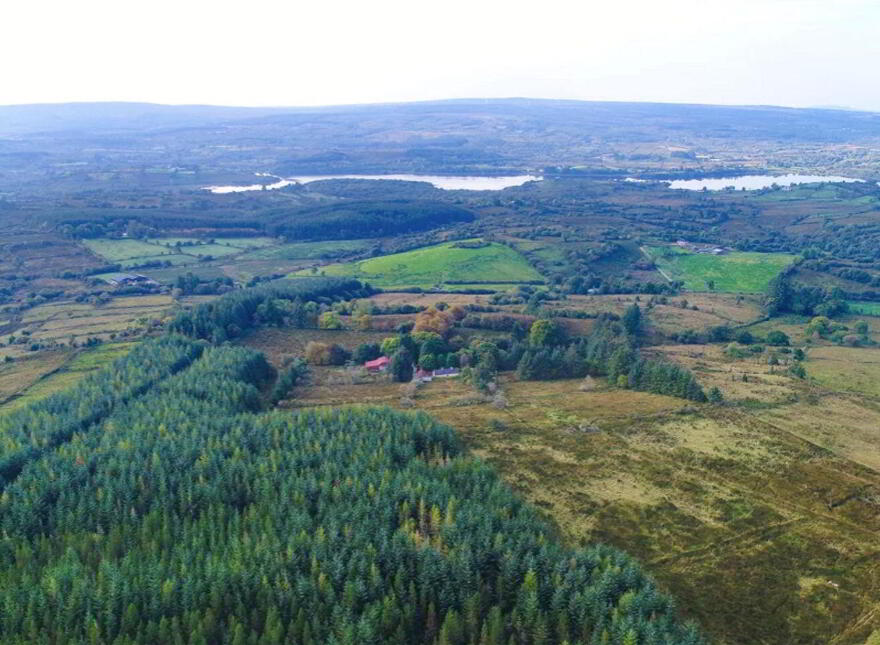 Tullinwillin, Killarga, F91H560