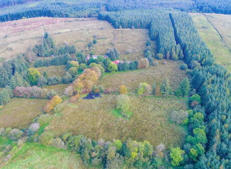 Tullinwillin, Killarga, F91H560