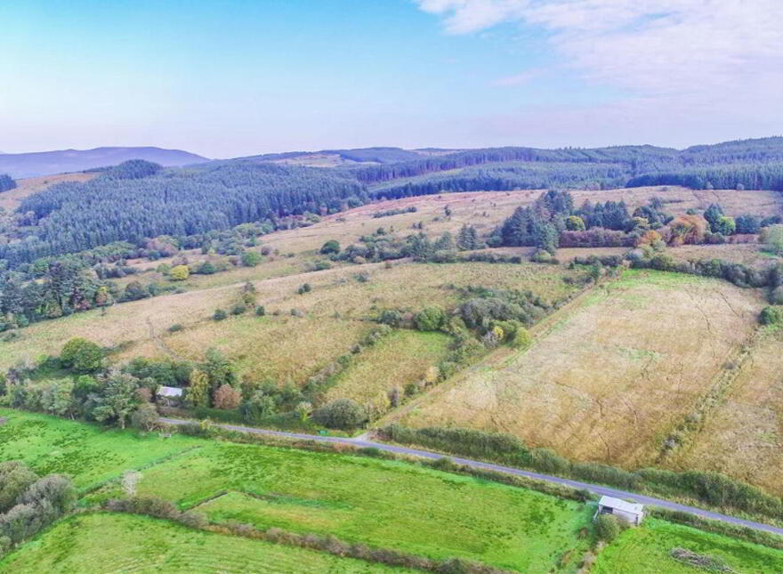 Tullinwillin, Killarga, F91H560