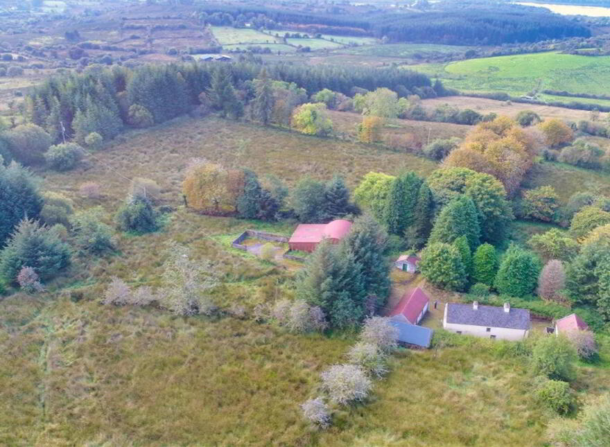 Tullinwillin, Killarga, F91H560