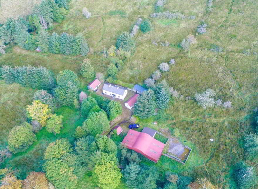 Tullinwillin, Killarga, F91H560