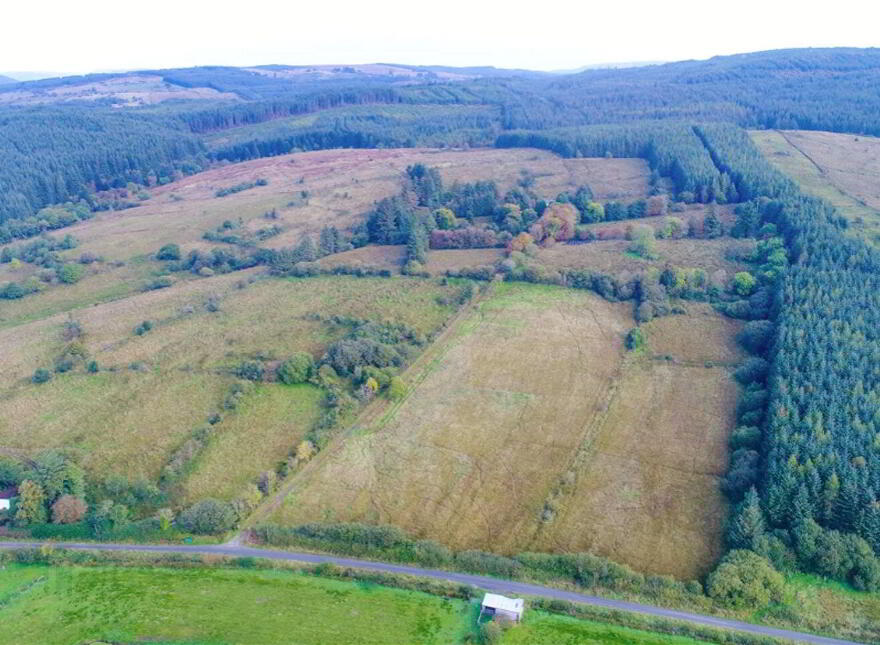 Tullinwillin, Killarga, F91H560