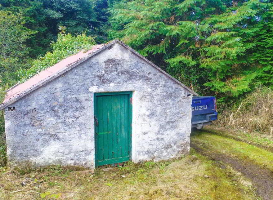 Tullinwillin, Killarga, F91H560