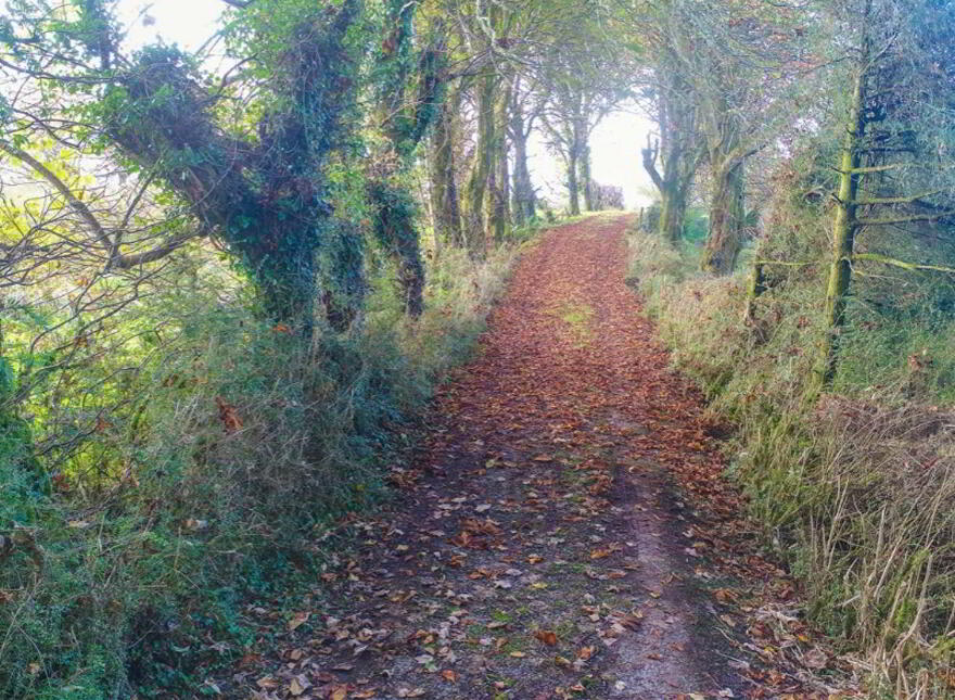 Tullinwillin, Killarga, F91H560