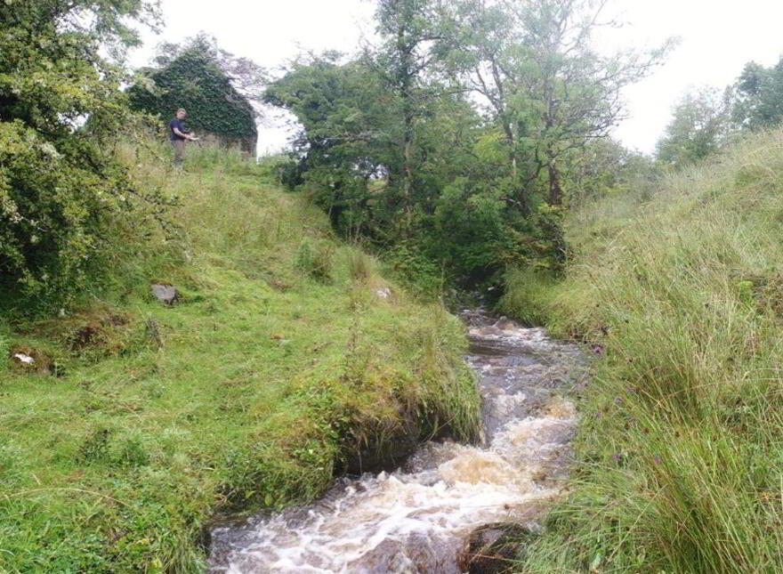 Two Storey And Cottage With Stream, Geevagh