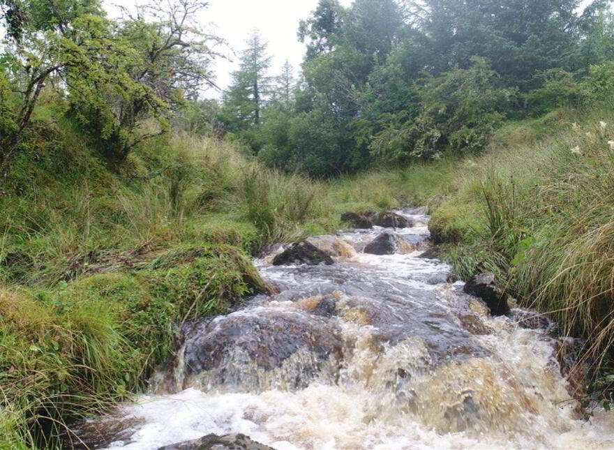 Two Storey And Cottage With Stream, Geevagh