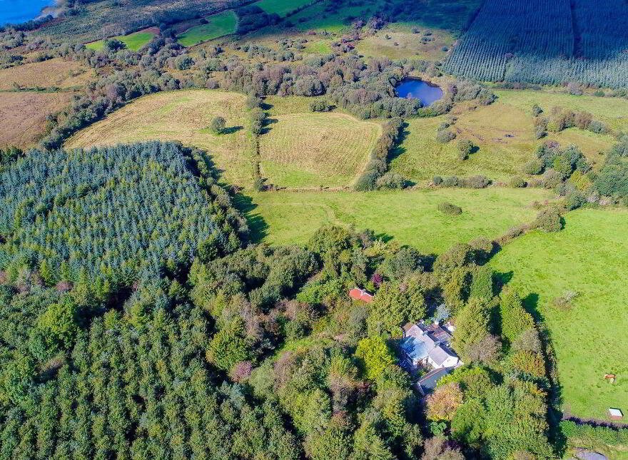 Drumlahard, Leitrim Village, Keadue, N41Y542