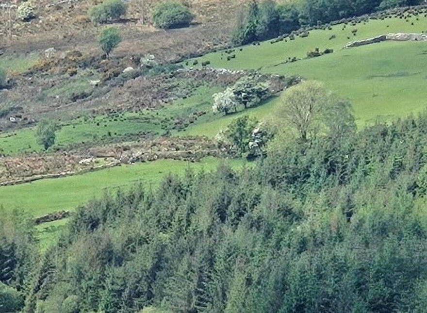 Carhoomeengar East, Kenmare, Kenmare, V93KV65