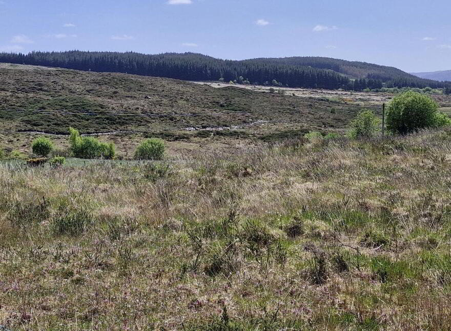 Carhoomeengar, Kenmare