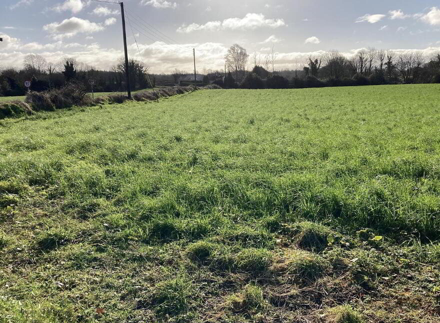 Gweeneeney, Whitegate