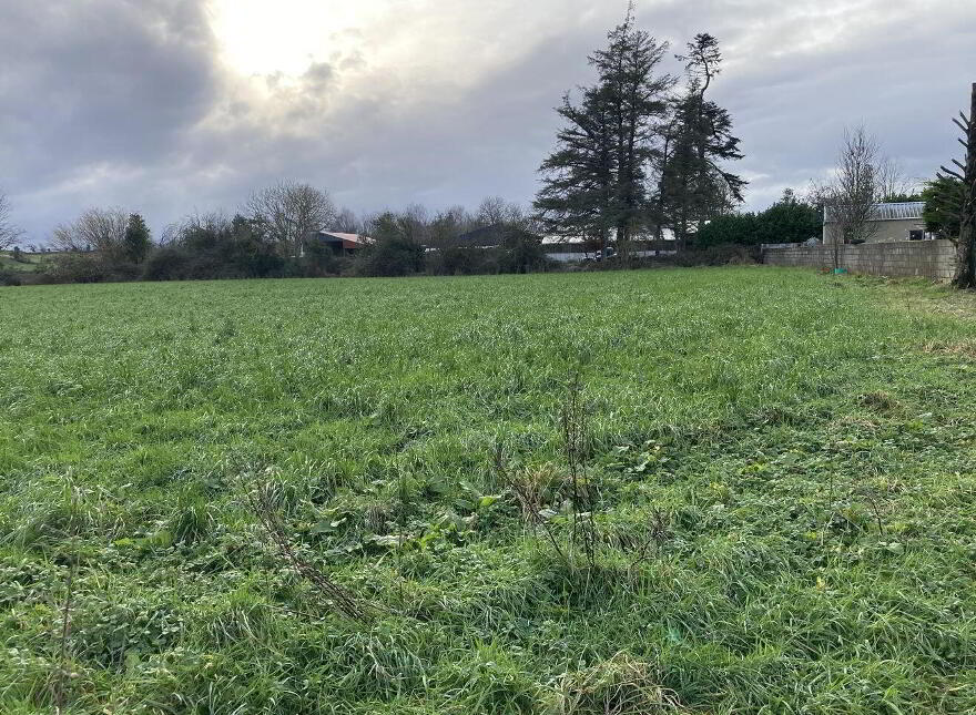 Gweeneeney, Whitegate