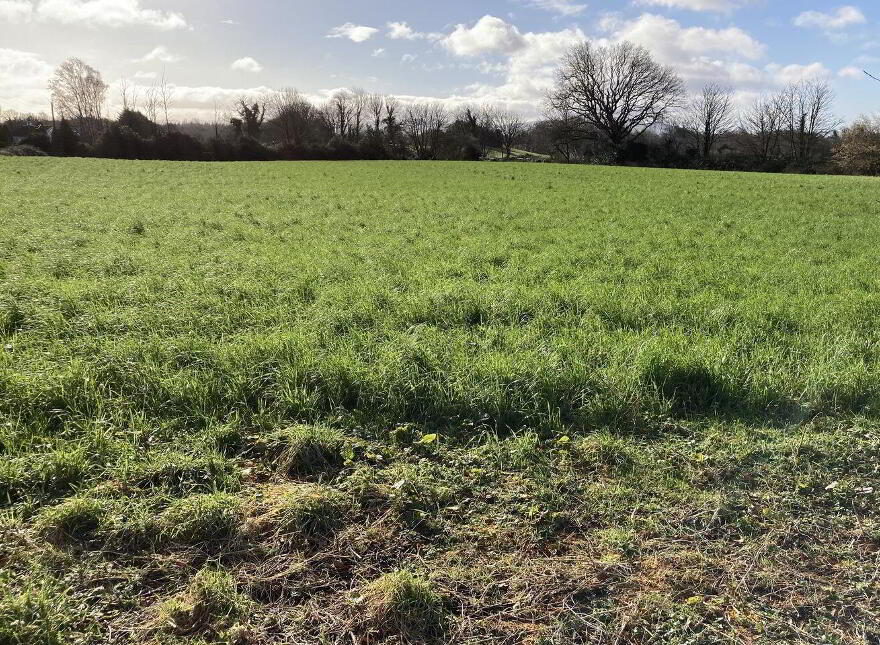 Gweeneeney, Whitegate