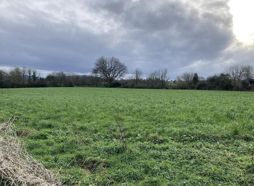 Gweeneeney, Whitegate