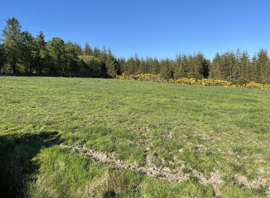 Commons, Woodford photo