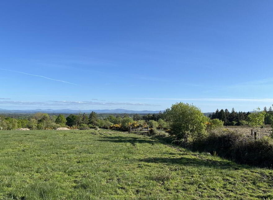 Commons, Woodford