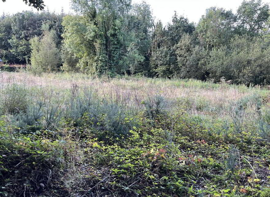 Meelick, Whitegate photo