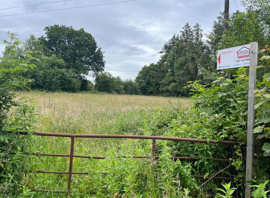 Cloonamerrin, Mountshannon photo