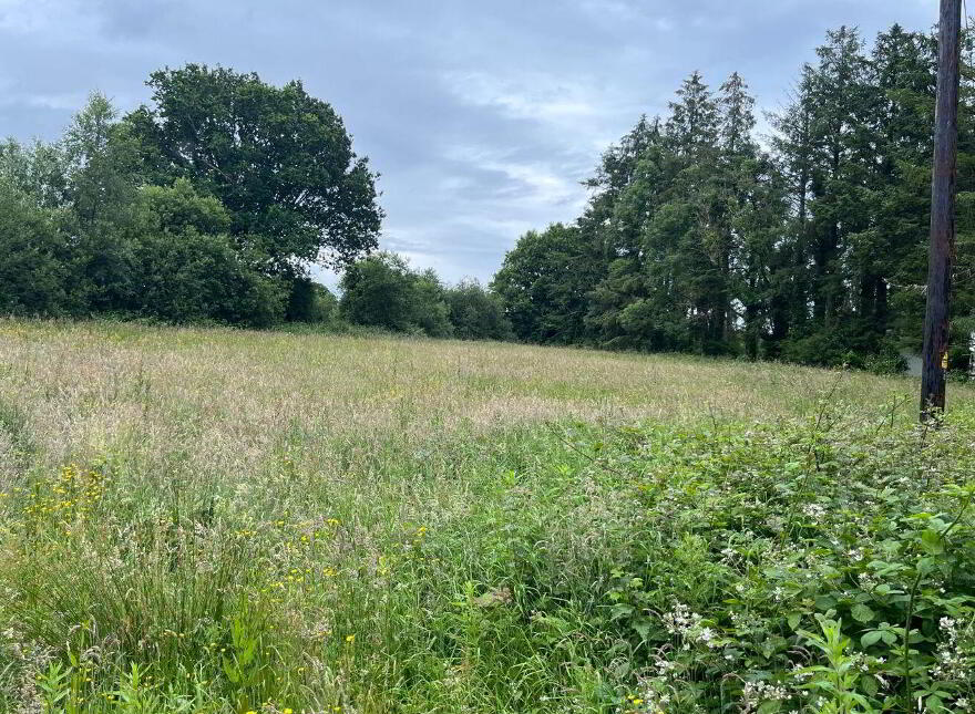 Cloonamerrin, Mountshannon