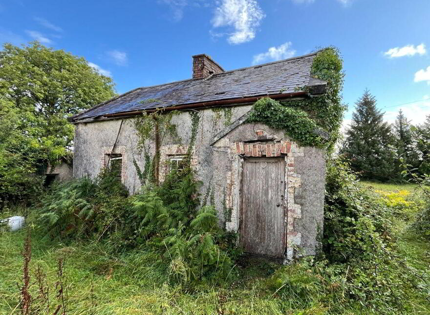 Flower Hill, Whitegate photo