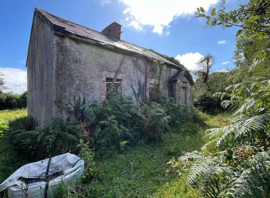 Flower Hill, Whitegate