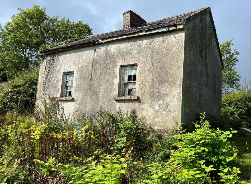 Flower Hill, Whitegate