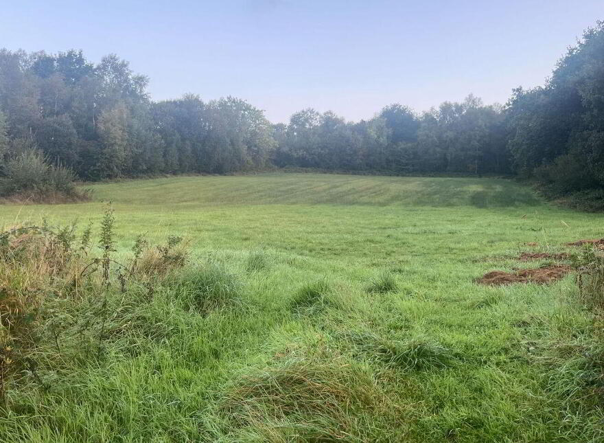 Cappaduff, Mountshannon, V94H6X3