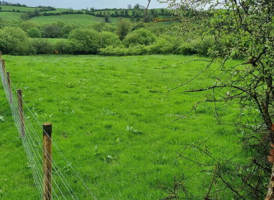 Fahymore, Kilmore, O'Briensbridge, V94A034