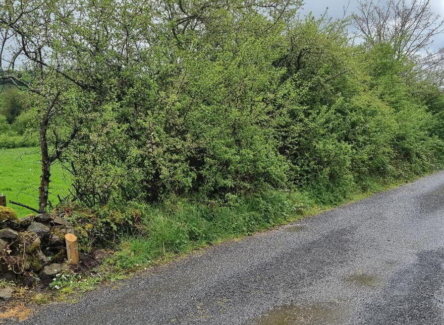 Fahymore, Kilmore, O'Briensbridge, V94A034