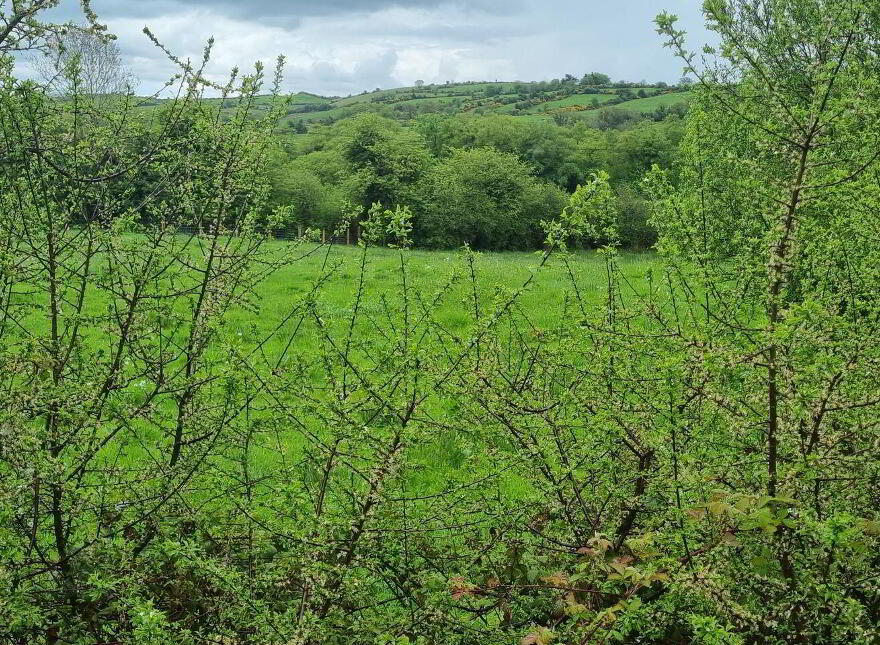 Fahymore, Kilmore, O'Briensbridge, V94A034