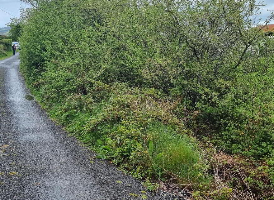 Fahymore, Kilmore, O'Briensbridge, V94A034