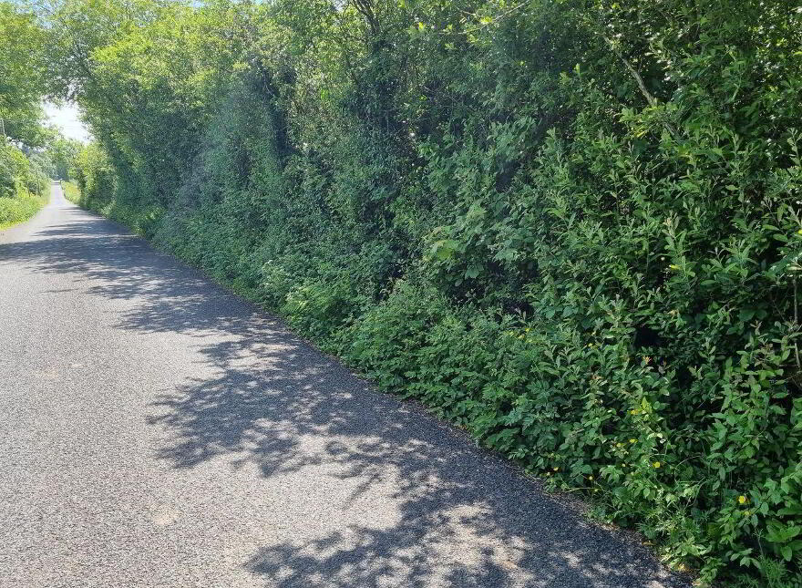 Sallybank, Kilmore
