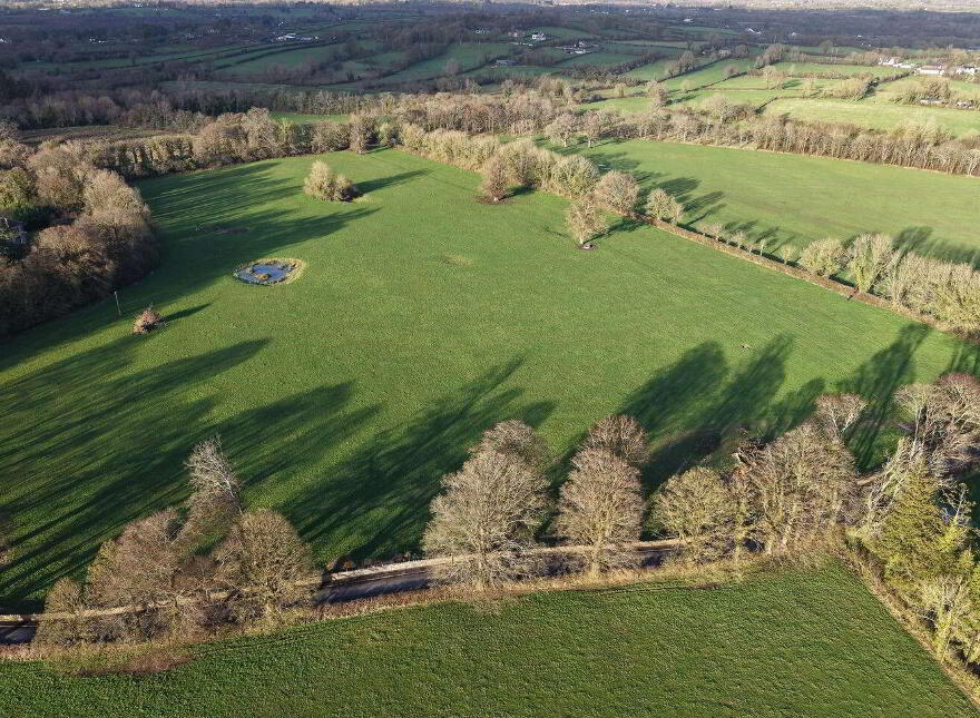 Ahane, Lisnagry