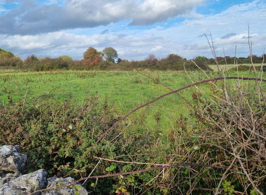 Morenane, Askeaton photo