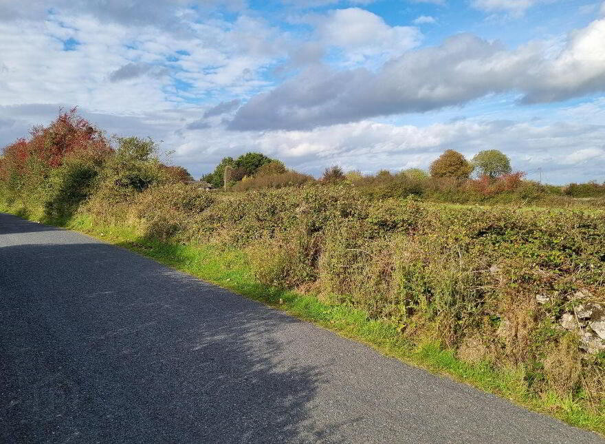 Morenane, Askeaton