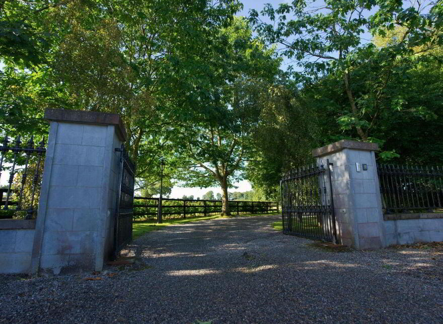 Mount Prospect Stud, Mount Prospect, Kildare, R51X337