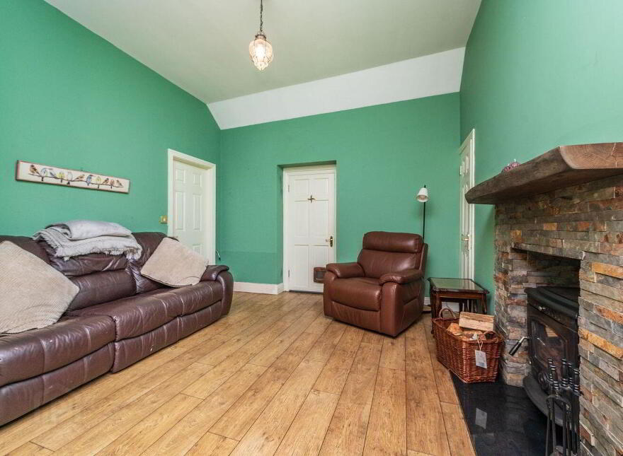 10 Basin Street, Naas, W91F2CY
