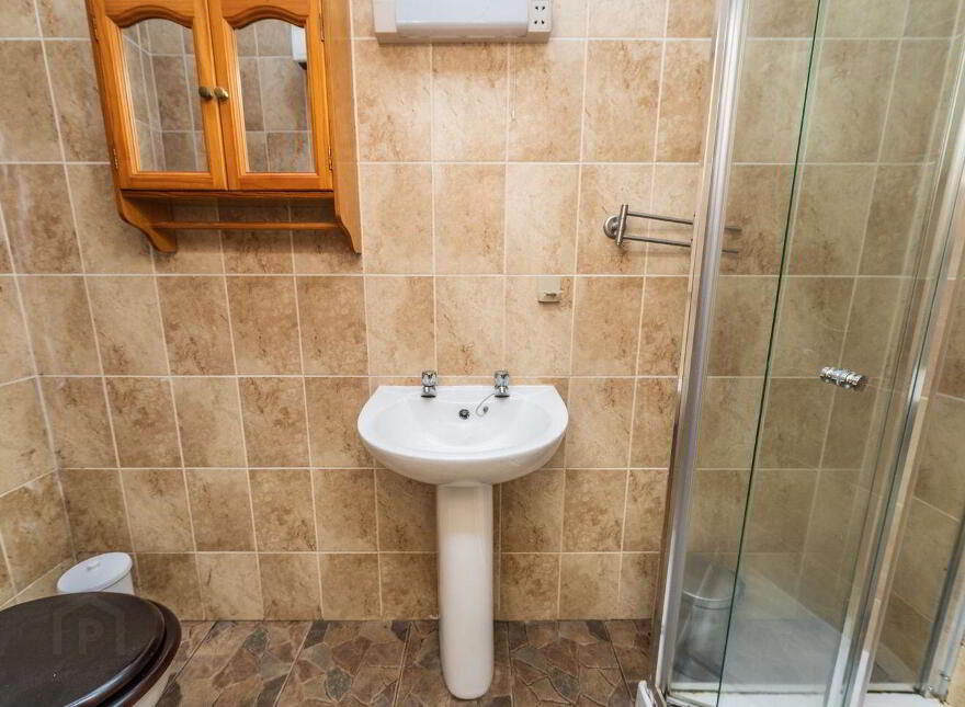 10 Basin Street, Naas, W91F2CY