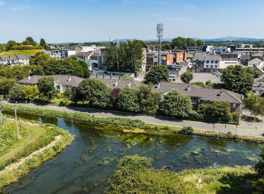 10 Basin Street, Naas, W91F2CY