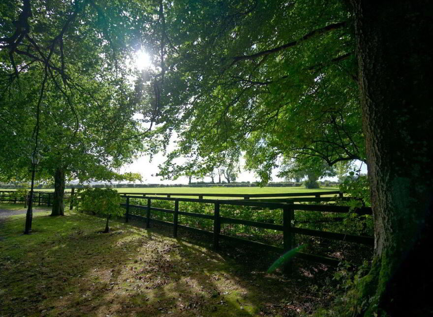 Mount Prospect Stud, Mount Prospect, Rathangan, R51X337