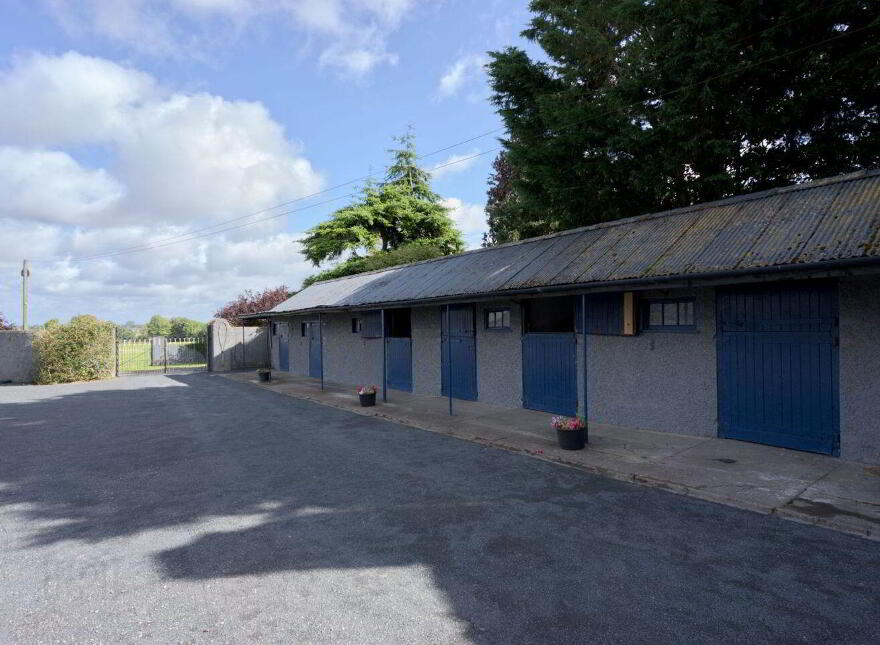 Mount Prospect Stud, Mount Prospect, Rathangan, R51X337